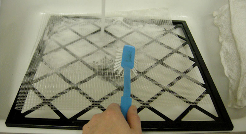 cleaning trays