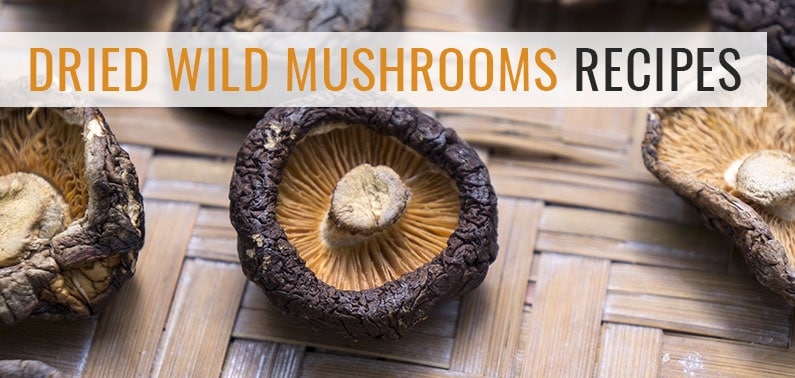 Dried Wild Mushrooms Recipes