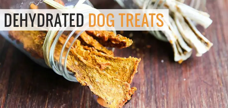 dehydrated dog treats recipe