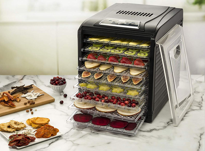 Gourmia Modern Looking Dehydrator